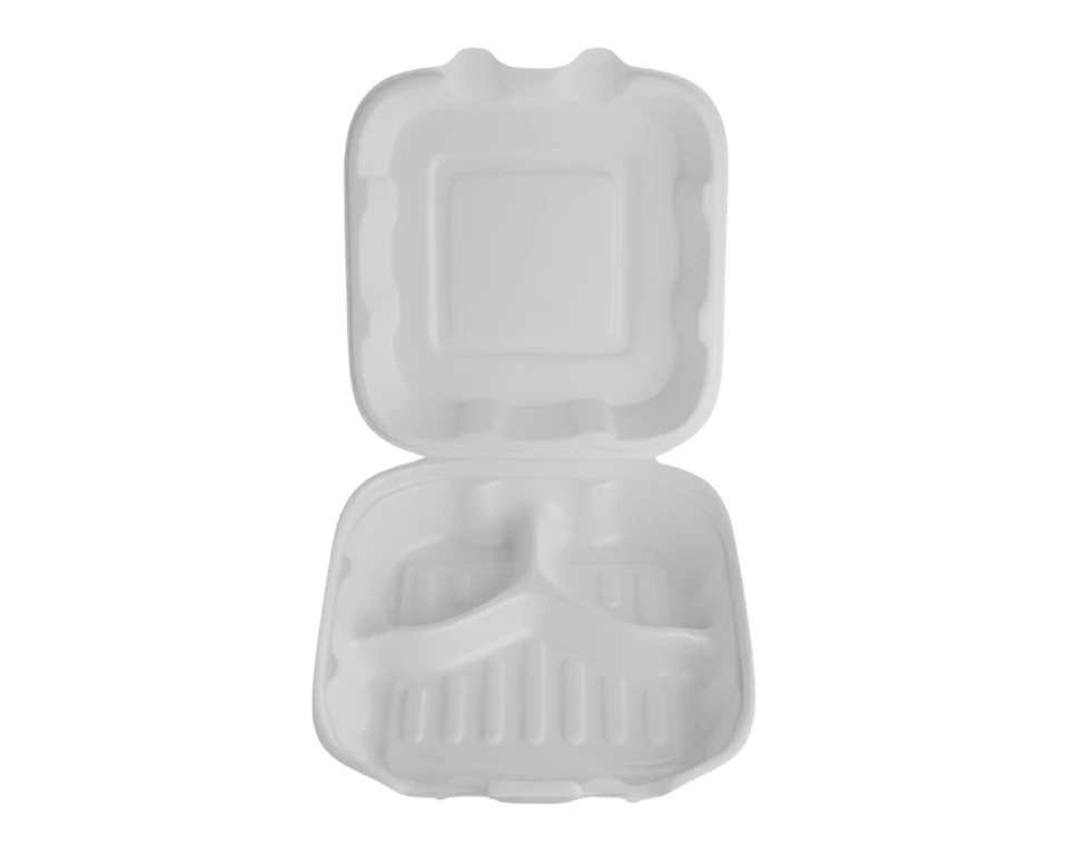 Biodegradable Burger Boxes factory